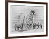 Proud Ewe, 2012-Helen White-Framed Giclee Print