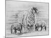 Proud Ewe, 2012-Helen White-Mounted Giclee Print
