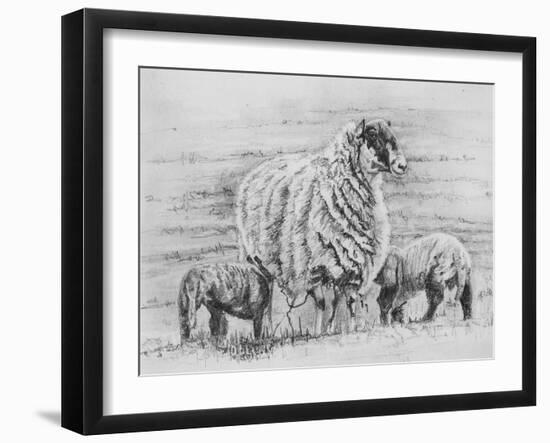 Proud Ewe, 2012-Helen White-Framed Giclee Print