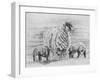 Proud Ewe, 2012-Helen White-Framed Giclee Print