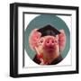 Proud Graduate-Lucia Heffernan-Framed Art Print