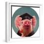 Proud Graduate-Lucia Heffernan-Framed Art Print