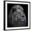 Proud Lion-Louise Wolbers-Framed Giclee Print