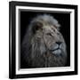 Proud Lion-Louise Wolbers-Framed Giclee Print