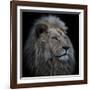 Proud Lion-Louise Wolbers-Framed Giclee Print