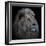 Proud Lion-Louise Wolbers-Framed Premium Photographic Print