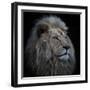 Proud Lion-Louise Wolbers-Framed Premium Photographic Print