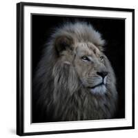 Proud Lion-Louise Wolbers-Framed Photographic Print