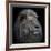 Proud Lion-Louise Wolbers-Framed Photographic Print