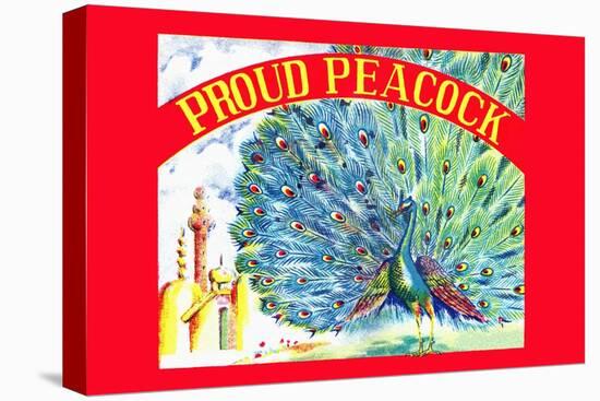 Proud Peacock-null-Stretched Canvas