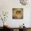 Proud Pomeranian-Jai Johnson-Giclee Print displayed on a wall