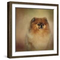 Proud Pomeranian-Jai Johnson-Framed Giclee Print