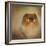Proud Pomeranian-Jai Johnson-Framed Giclee Print