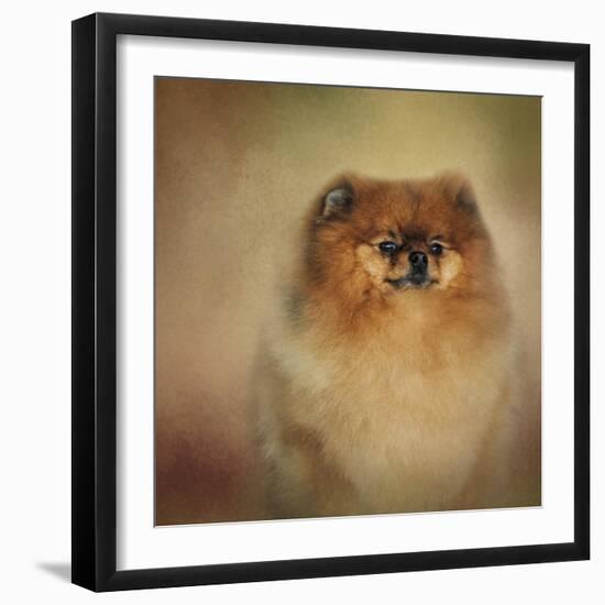 Proud Pomeranian-Jai Johnson-Framed Giclee Print