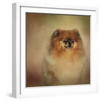 Proud Pomeranian-Jai Johnson-Framed Giclee Print