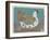 Proud to Be Pastel 5-Maria Pietri Lalor-Framed Giclee Print