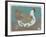 Proud to Be Pastel 5-Maria Pietri Lalor-Framed Giclee Print