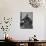 Proudhon Photo-null-Photographic Print displayed on a wall
