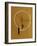 Proun, c.1920-21-El Lissitzky-Framed Giclee Print