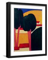 Provencal Farm, 1997-Eithne Donne-Framed Giclee Print