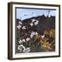 Provencal Garden I, 2014-Helen White-Framed Giclee Print