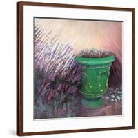 Provencal garden II, 2014,-Helen White-Framed Giclee Print