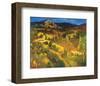 Provencal Landscape-Philip Craig-Framed Giclee Print