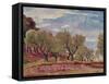 Provencal Landscape-Augustus Edwin John-Framed Stretched Canvas