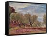Provencal Landscape-Augustus Edwin John-Framed Stretched Canvas