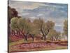 Provencal Landscape-Augustus Edwin John-Stretched Canvas