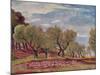 Provencal Landscape-Augustus Edwin John-Mounted Giclee Print