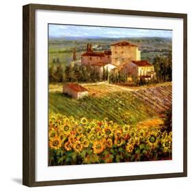 Provencal Village III-Michael Longo-Framed Art Print