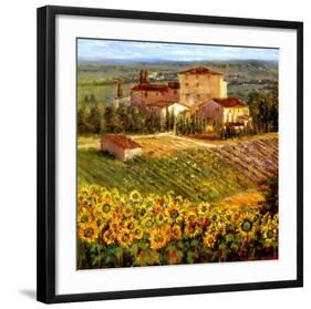 Provencal Village III-Michael Longo-Framed Art Print