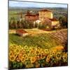 Provencal Village III-Michael Longo-Mounted Art Print