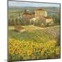 Provencal Village III-null-Mounted Giclee Print