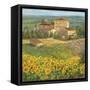 Provencal Village III-Michael Longo-Framed Stretched Canvas