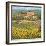 Provencal Village III-Michael Longo-Framed Art Print