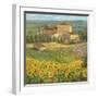 Provencal Village III-Michael Longo-Framed Art Print