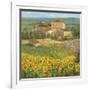 Provencal Village III-Michael Longo-Framed Premium Giclee Print