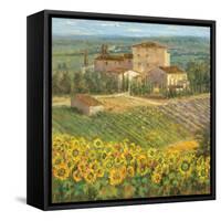 Provencal Village III-Michael Longo-Framed Stretched Canvas