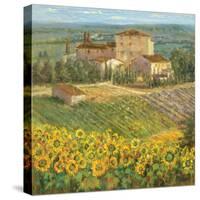 Provencal Village III-Michael Longo-Stretched Canvas