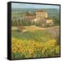 Provencal Village III-Michael Longo-Framed Stretched Canvas