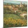 Provencal Village IV-Michael Longo-Mounted Art Print