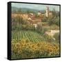 Provencal Village IV-Michael Longo-Framed Stretched Canvas