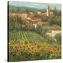 Provencal Village IV-Michael Longo-Stretched Canvas