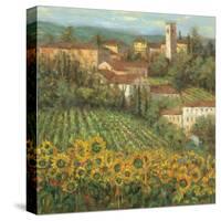 Provencal Village IV-Michael Longo-Stretched Canvas