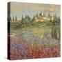 Provencal Village XI-Longo-Stretched Canvas