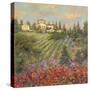 Provencal Village XII-Longo-Stretched Canvas