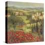 Provencal Village XIII-Longo-Stretched Canvas