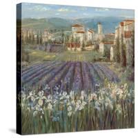 Provencal Village-Michael Longo-Stretched Canvas